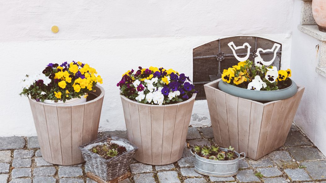 成都花箱 成都花箱