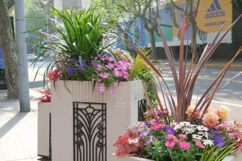 1588465498656392.jpg 花箱