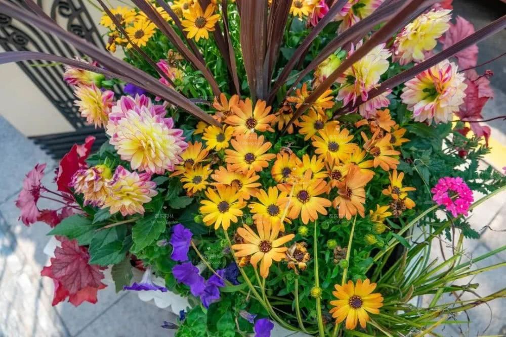 1588465498764062.jpg 花箱