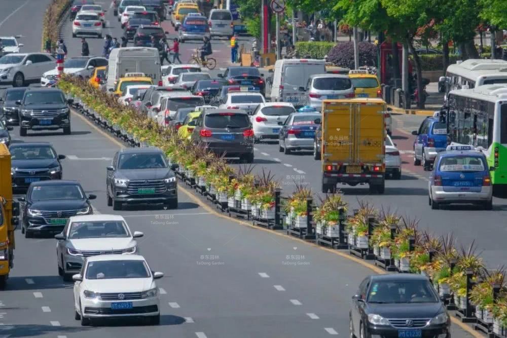 1588465524589845.jpg 花箱