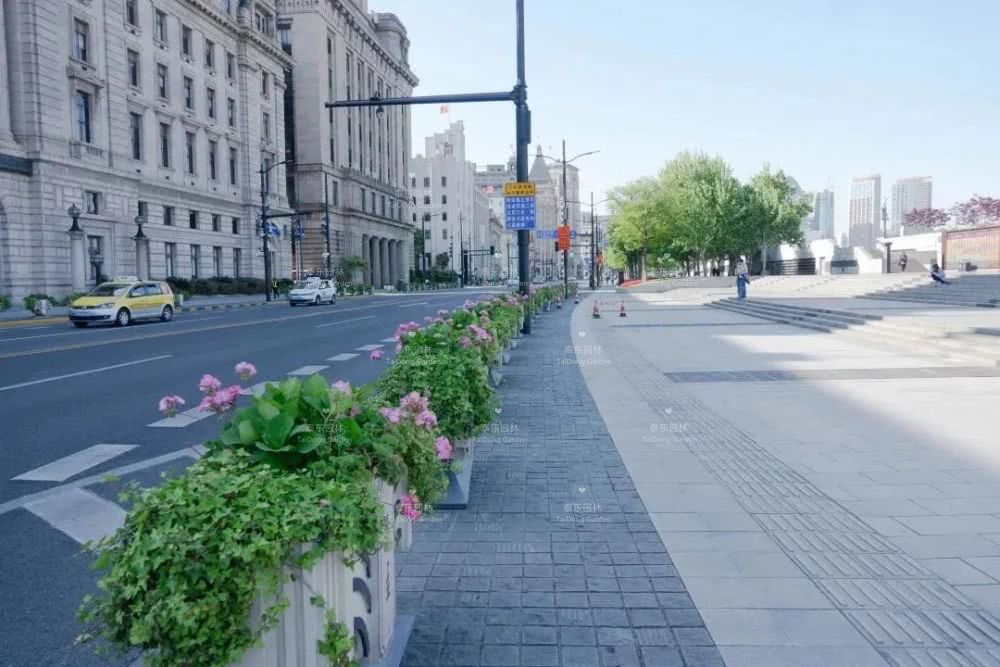 1588465542365724.jpg 花箱