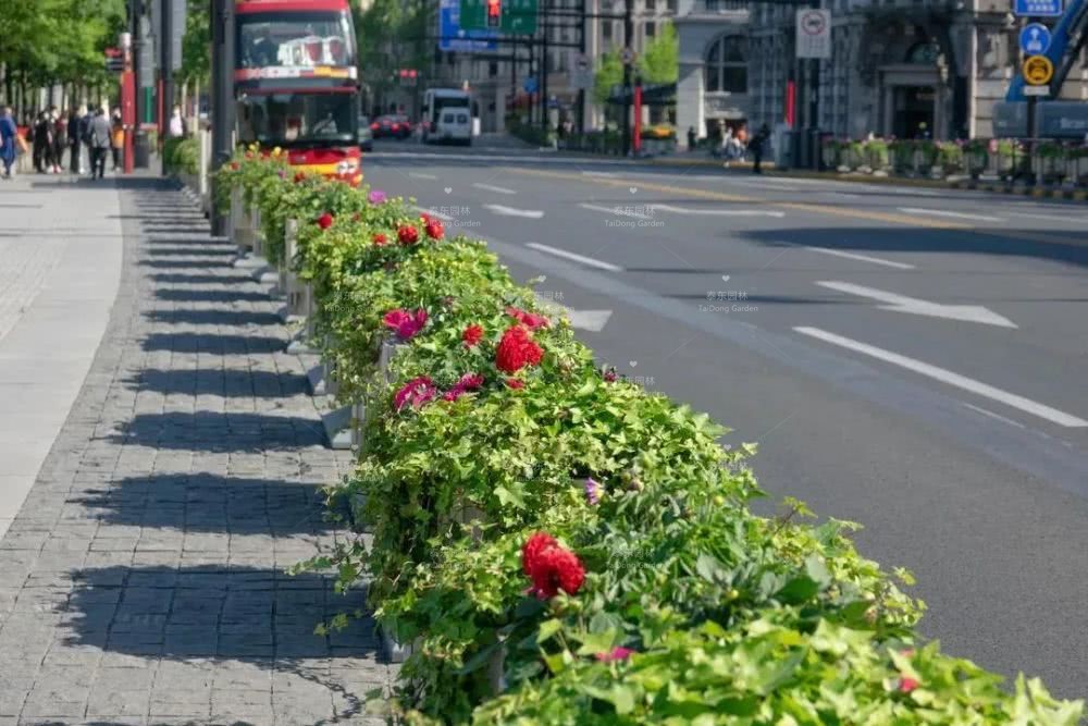 1588465542483591.jpg 花箱