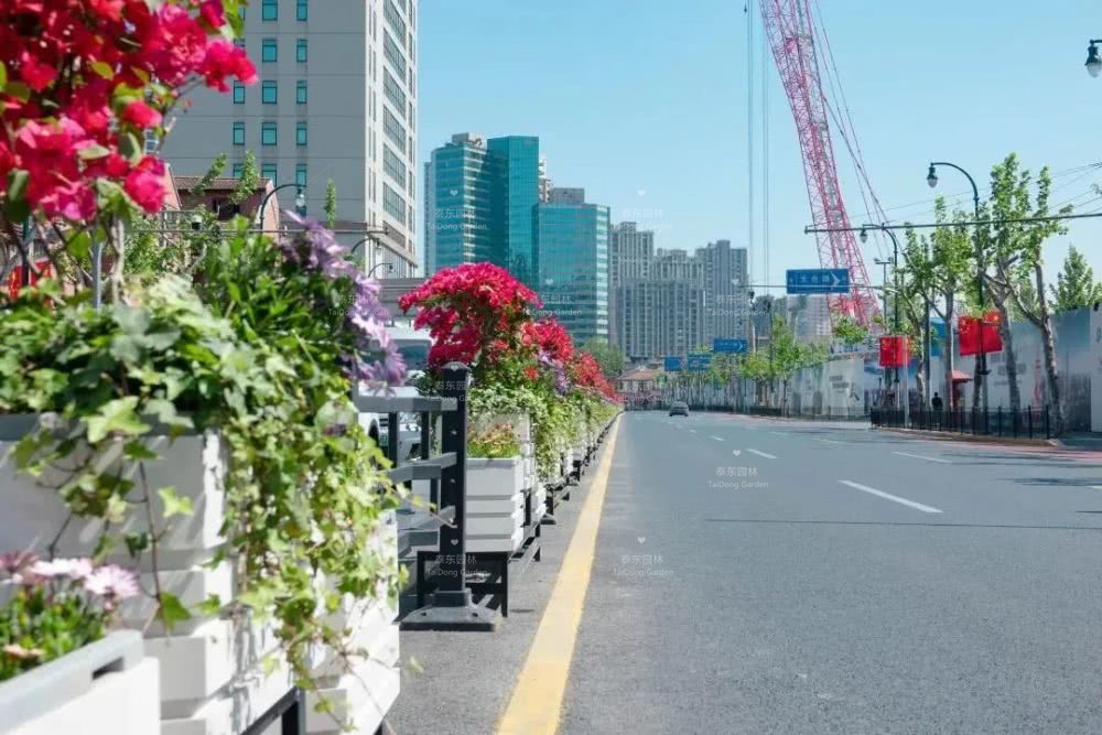 1588465558140443.jpg 花箱