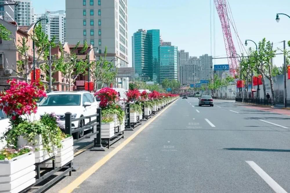 1588465558633810.jpg 花箱