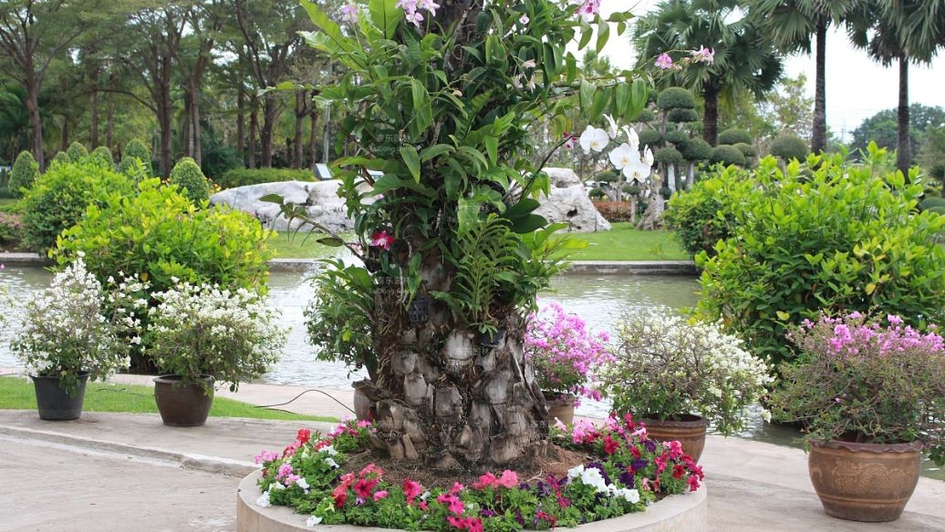 1588474620245384.jpg part-00026-4192.jpg