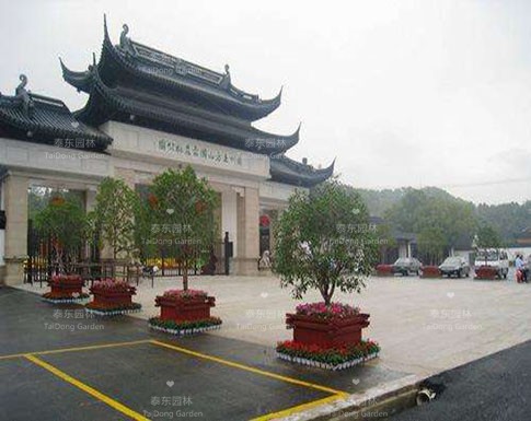 1593485406614693.jpg 花箱