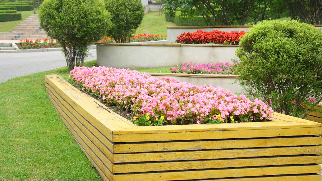 園藝花箱 園藝花箱