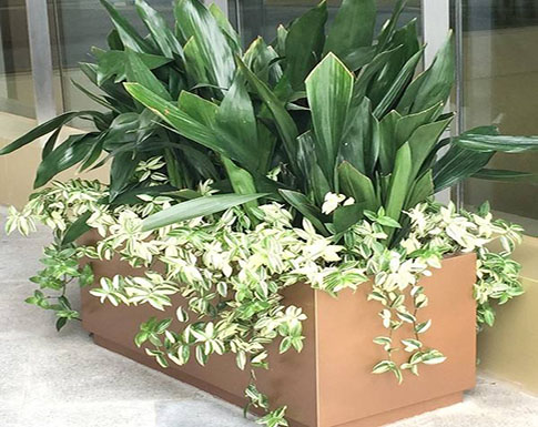 室外花箱 室外花箱