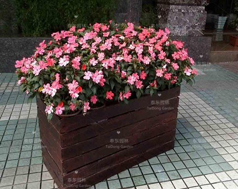 花箱 花箱