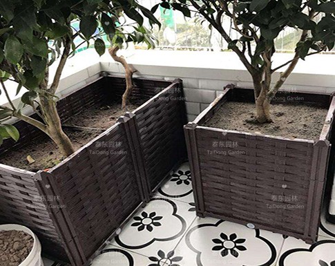 家庭花箱 家庭花箱