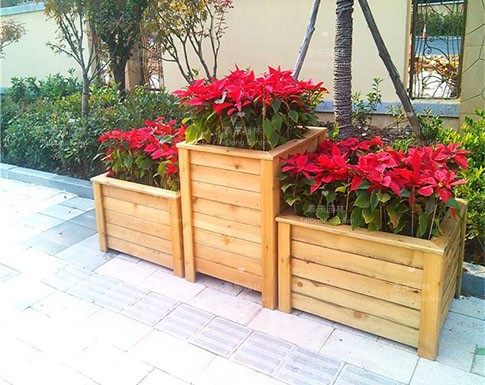 花箱 花箱