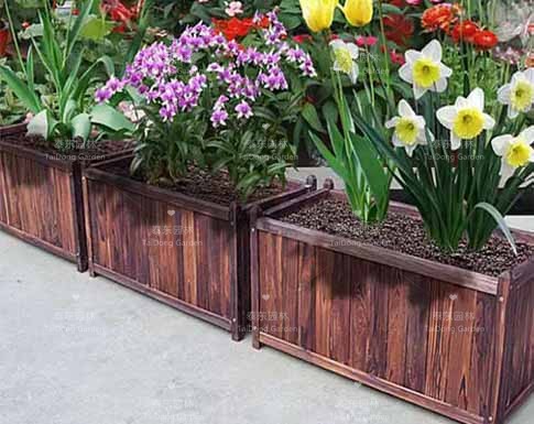 花箱 花箱