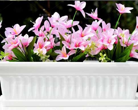 花箱 花箱