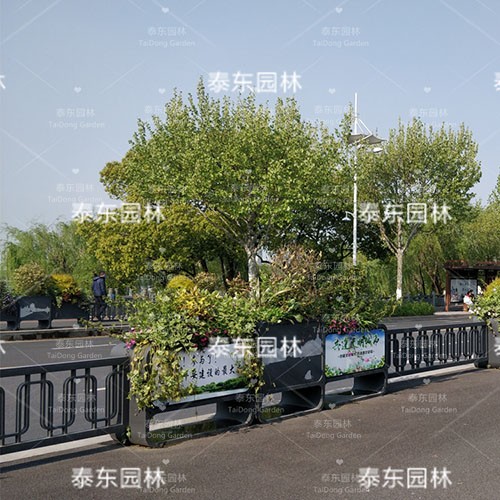 戶外綠化花箱 戶外綠化花箱