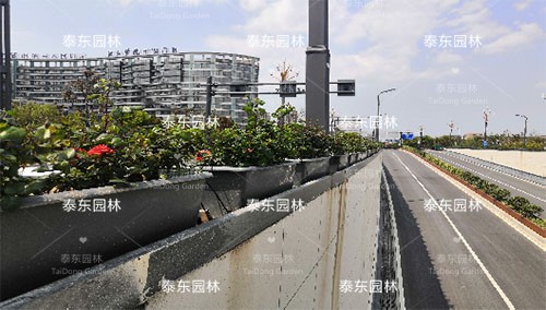 高架橋花箱 高架橋花箱