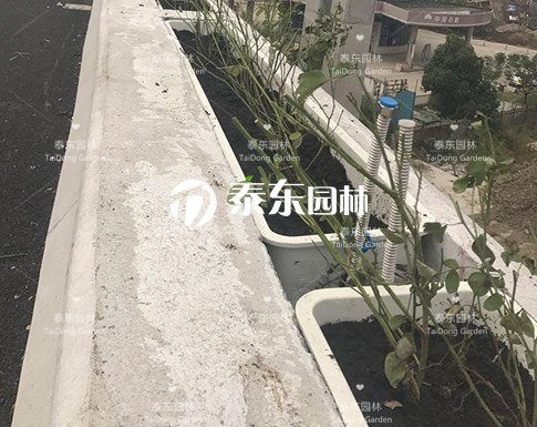 1614647100559283.png 04d3b0ba63df4ba7a5845e261992f2a1.png