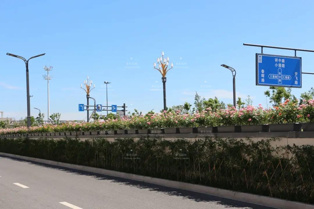 1616206820277143.jpg 花箱