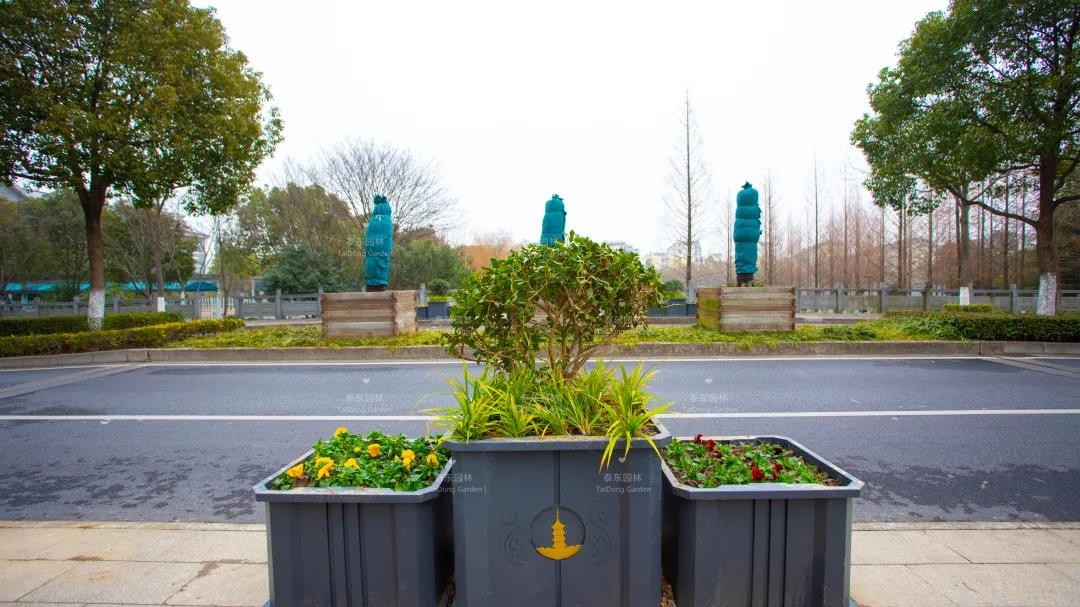 1616206870699608.jpg 花箱