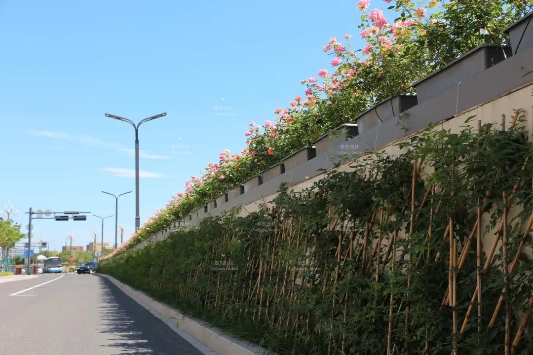 1616206974535118.jpg 微信圖片_20210320101132.jpg