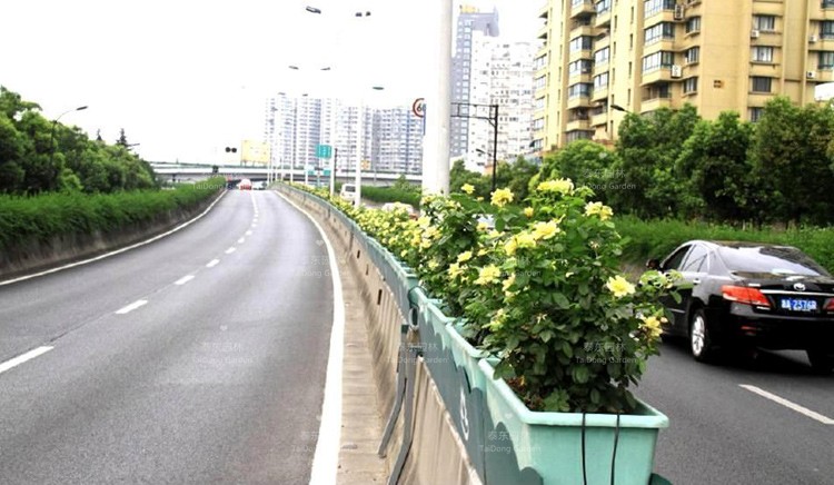 1619060511714651.jpg src=http-_img2.99114.com_group10_M00_3F_CB_rBADs1oKlQKANV66AAFOkAmpQdM064.jpg&refer=http-_img2.99114.com&app=2002&size=f9999,10000&q=a80&n=0&g=0n&fmt=jpeg.jpg