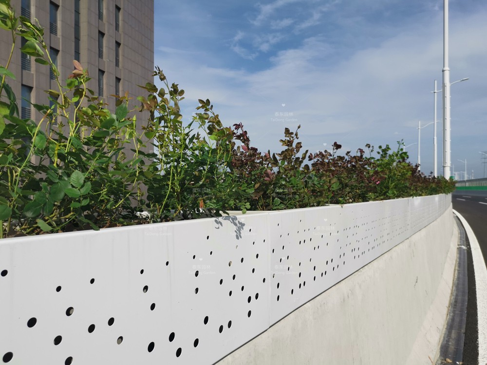 1622510745911208.jpg 7b8819a55e26d3dbfe3a2803064bbb0.jpg