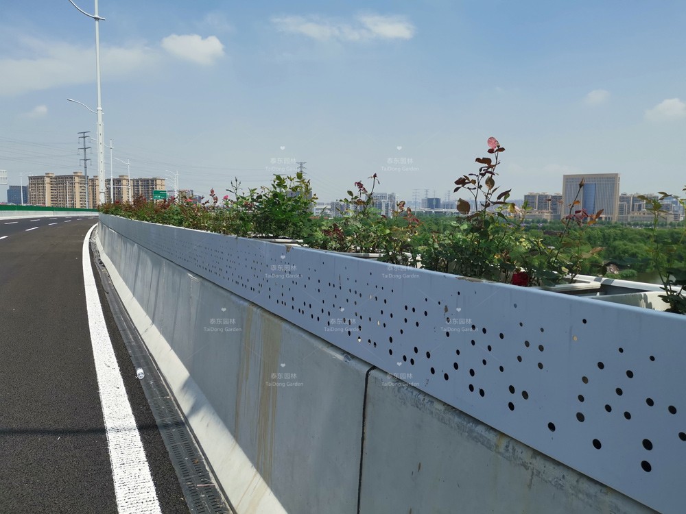 1622510823260907.jpg 8d392aff6c508be632742afd6198b06.jpg