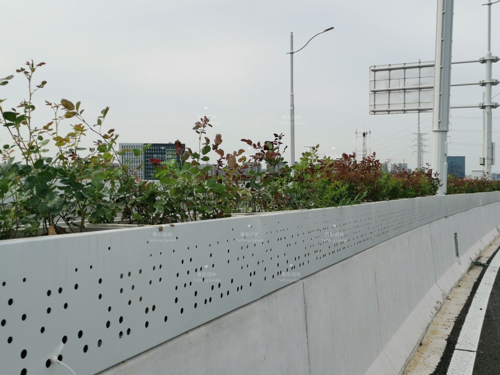 1622511189800857.jpg b67d18d8117833b5de66adcf418b24c.jpg