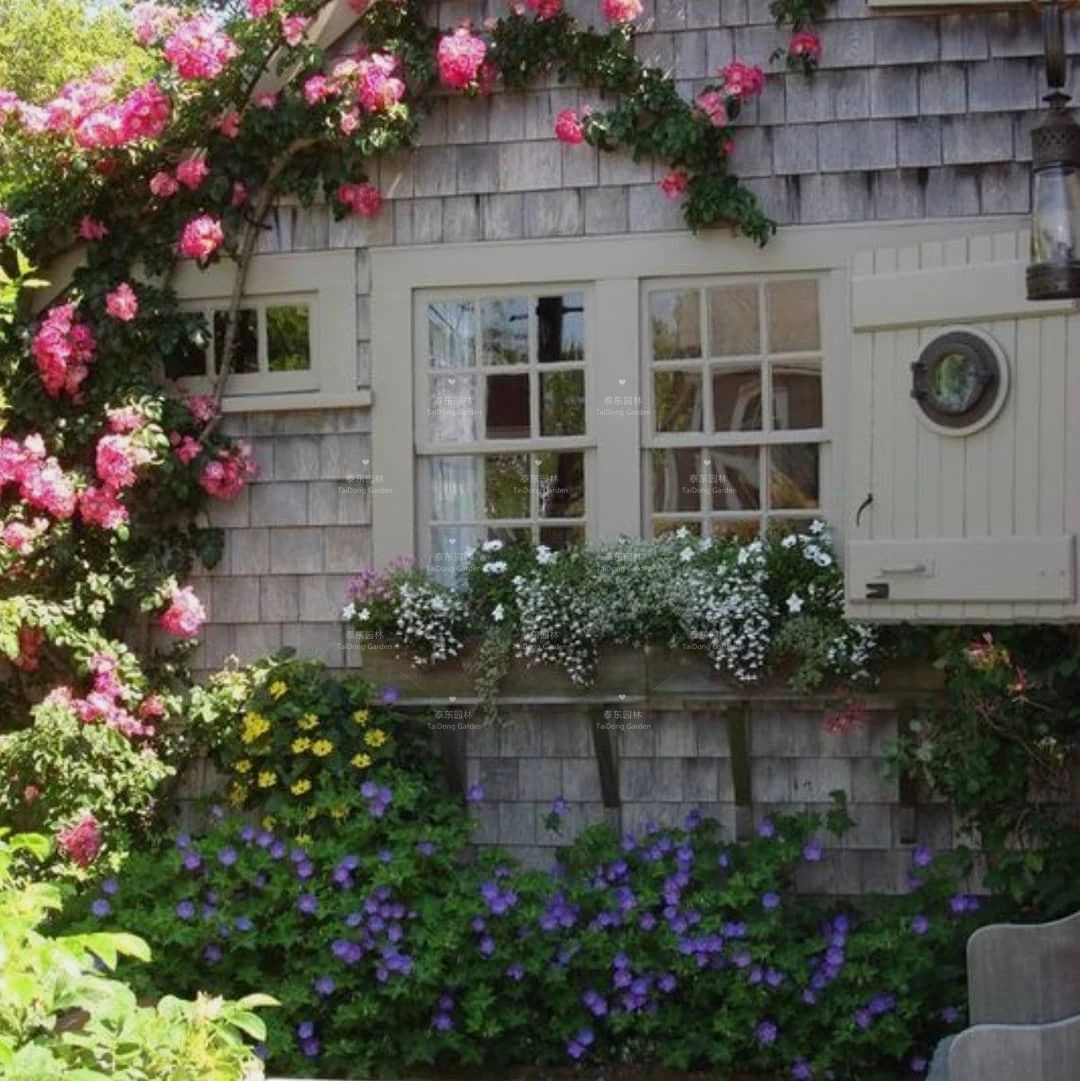 1675134515907307.jpg 花箱