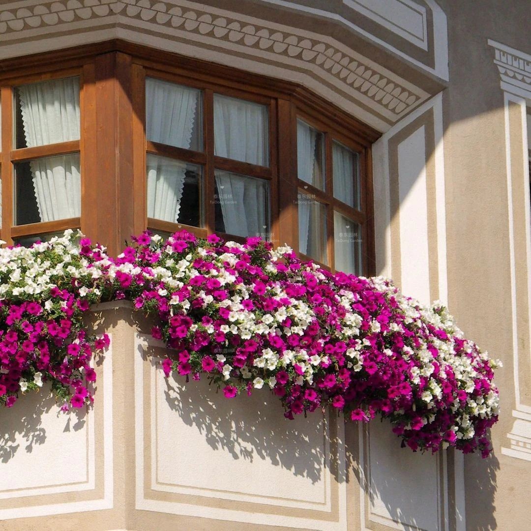 1675134516380638.jpg 花箱