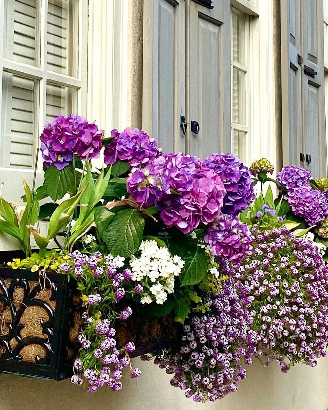 1675134516942988.jpg 花箱