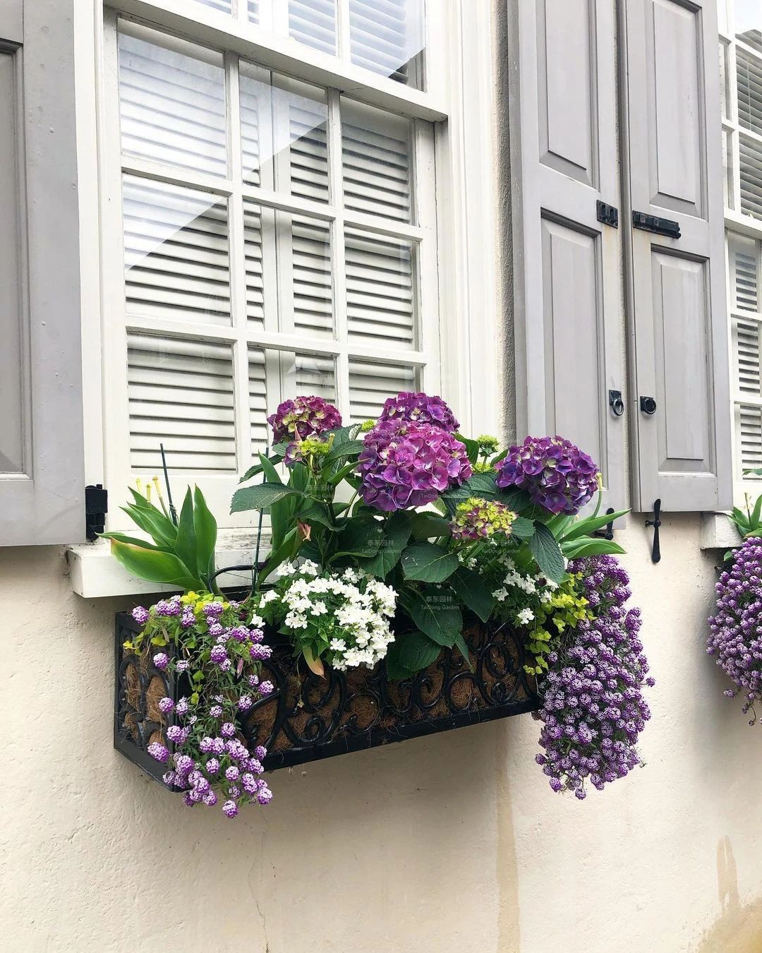 1675134518444739.jpg 花箱