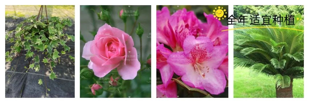 1675215249648154.jpg 8.jpg