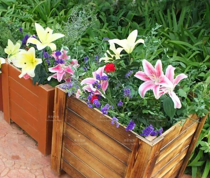 1675215595789184.jpg 12.jpg