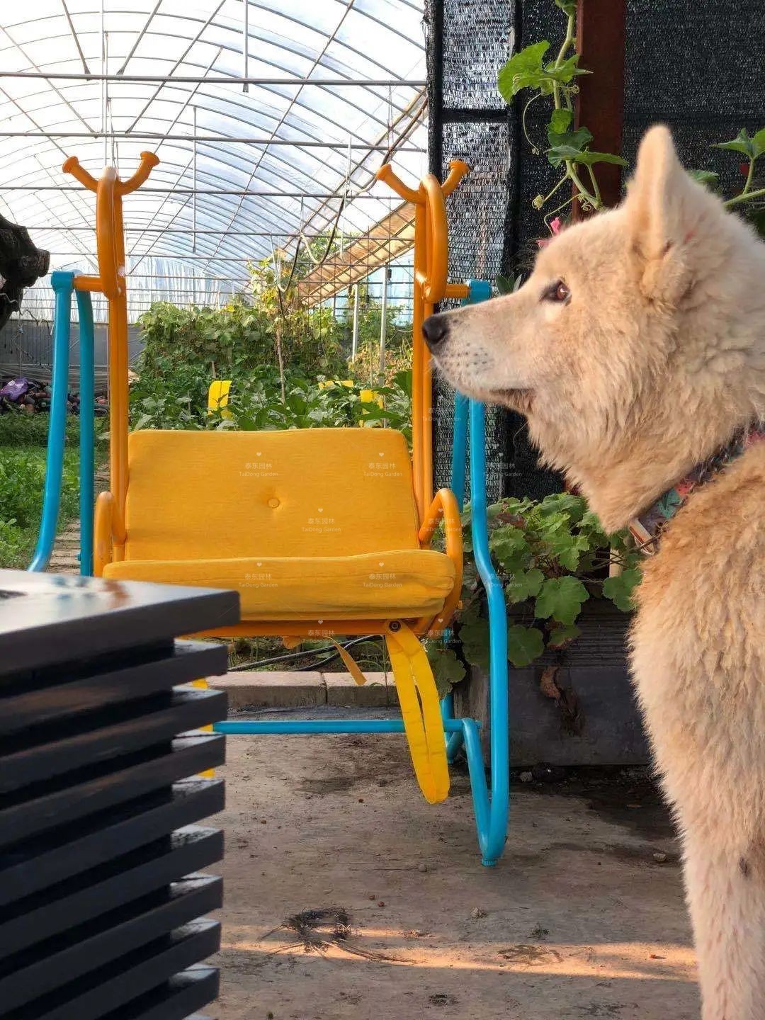 1675413632512514.jpg 1.jpg