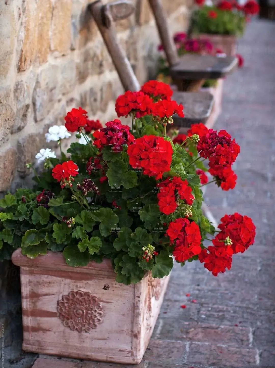 1675910869188910.jpg 1.jpg