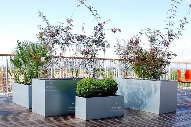 1675911826715843.jpg 25.jpg