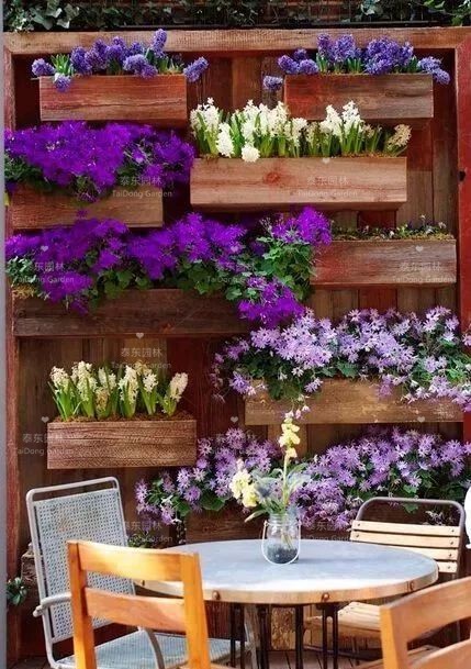 1676005857787821.jpg 10.jpg