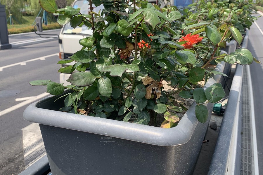 1676681345965813.jpg 2.jpg