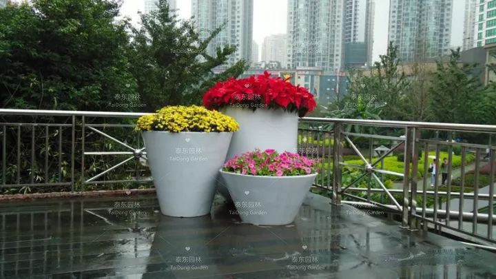 1677044499453794.jpg 花箱