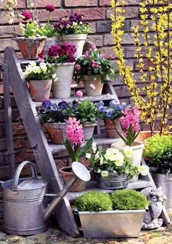 1678867297439803.jpg 花箱