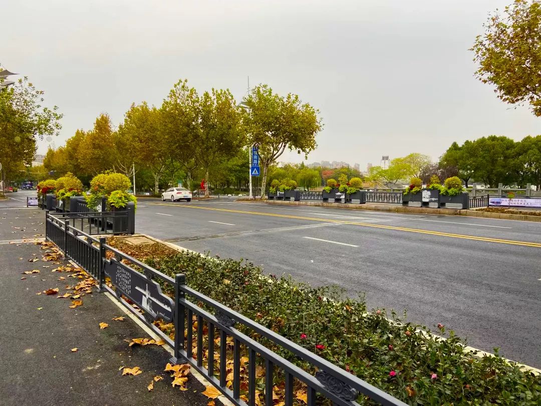 1689122383710613.jpeg 03.jpeg