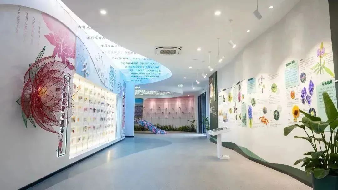 1704158224690678.jpg 花箱